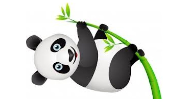 Google’s Panda 20 and Google EMD Algorithm Updates: What You Need to Know
