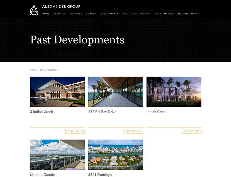 Alexander Group Development