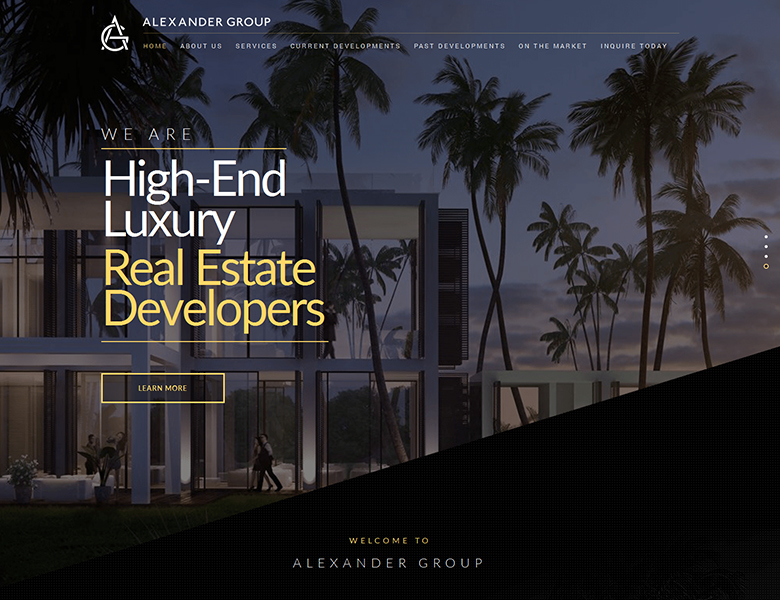 Alexander Group Development